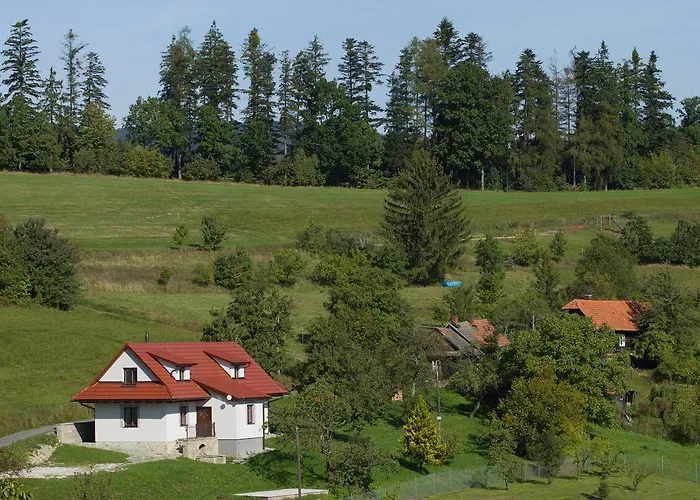 Pod Hruskou * Zubri (Vsetin)